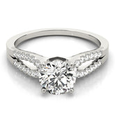 Engagement Rings Multirow - TN84260
