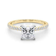 Engagement Ring  51162 Shank - TN85352